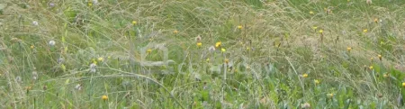 Sonniges Grundstück in ruhiger Lage