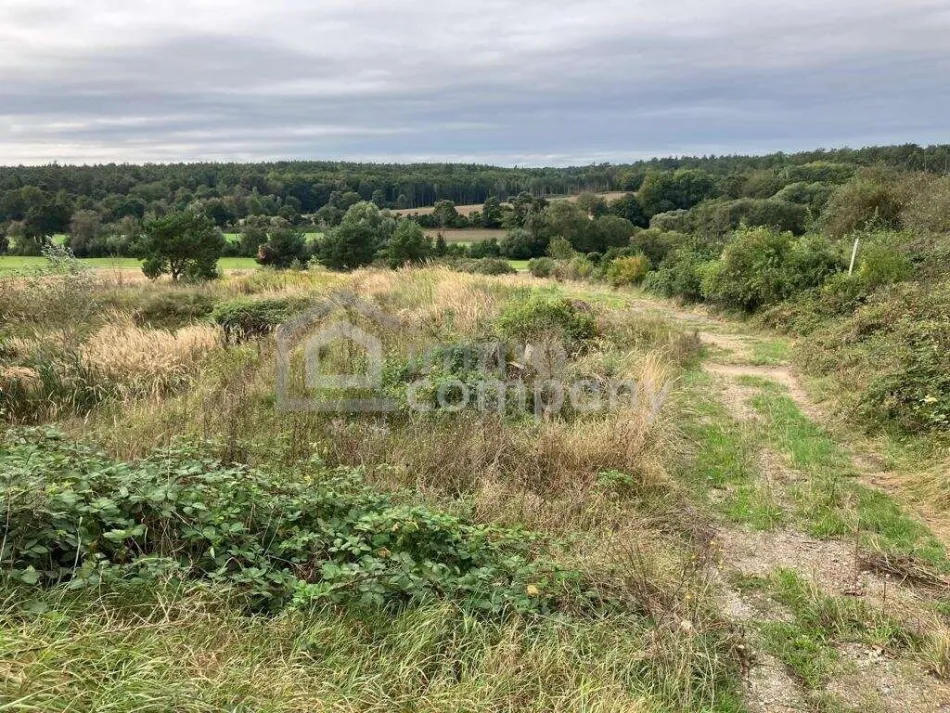 Rarität - Grund mit Teilwidmung Reitplatz/Reitanlage - 10.360 m² um nur 140.000 €! - Bild