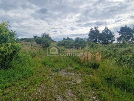 Rarität - Grund mit Teilwidmung Reitplatz/Reitanlage - 10.360 m² um nur 140.000 €!