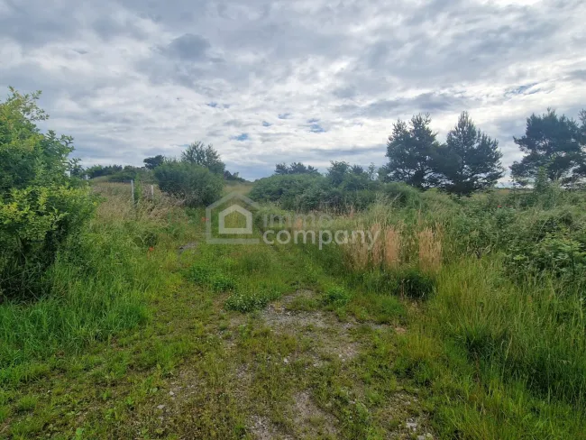 Rarität - Grund mit Teilwidmung Reitplatz/Reitanlage - 10.360 m² um nur 140.000 €! - Bild