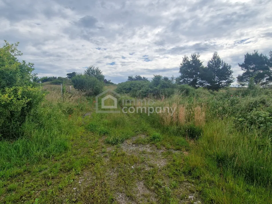 Rarität - Grund mit Teilwidmung Reitplatz/Reitanlage - 10.360 m² um nur 140.000 €! - Bild