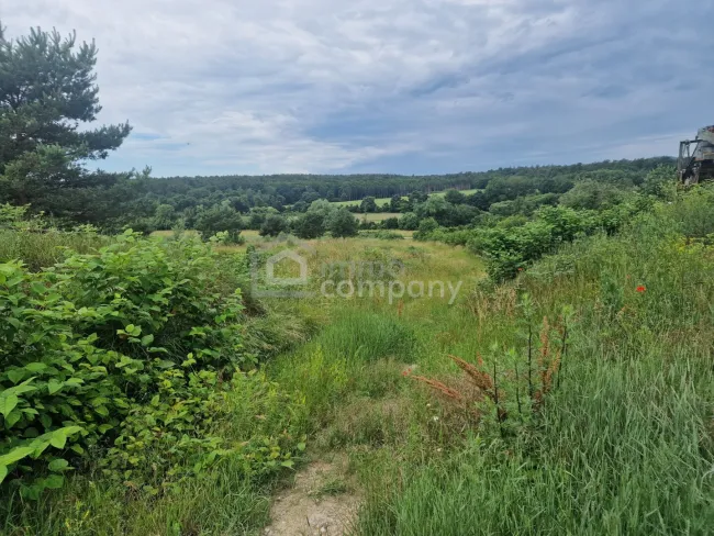 Rarität - Grund mit Teilwidmung Reitplatz/Reitanlage - 10.360 m² um nur 140.000 €! - Bild