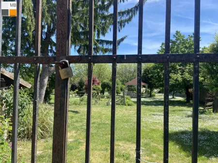 Blick in den hinteren Garten