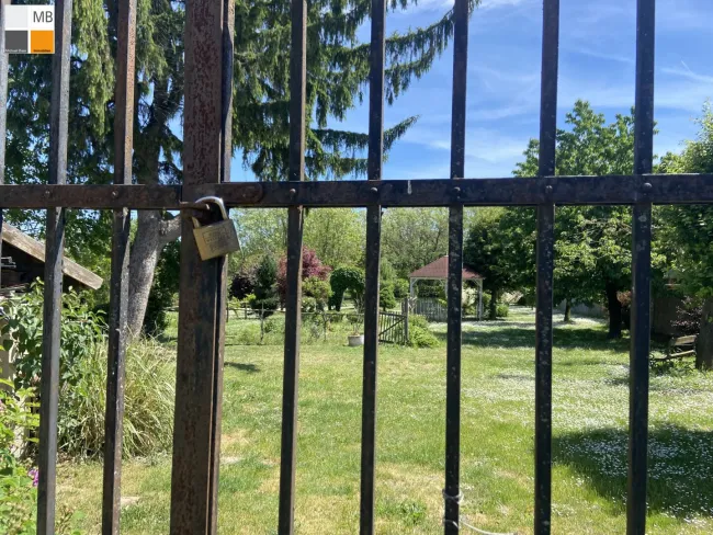 Blick in den hinteren Garten