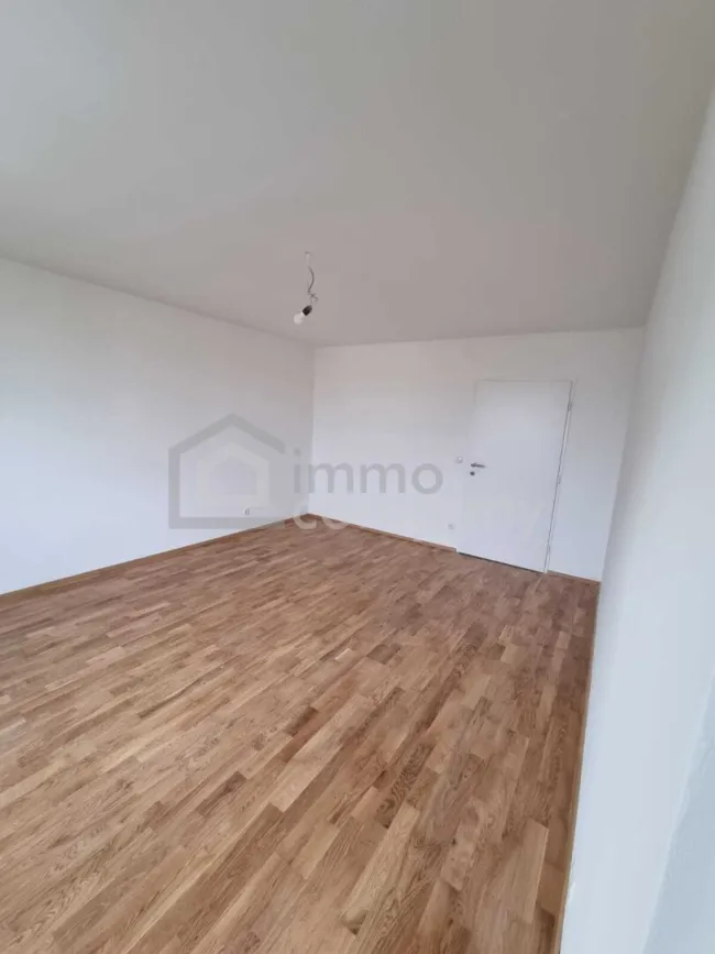Zimmer 1
