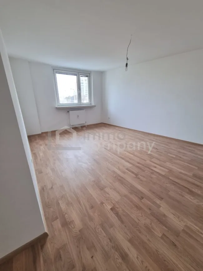 Zimmer2