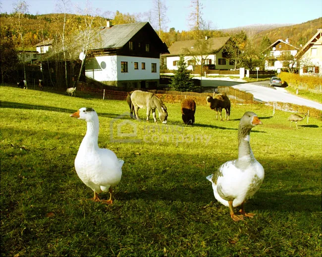 Landgasthof in Sankt Corona am Schöpfl !!! Zur Vermietung ein komplettes Haus inklusive Wohnungen in der beliebten Region Sankt Corona am Schöpfl - Mietpreis: nur 2.500 Euro monatlich - Bild