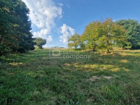 Preisreduktion! Großer Grund - Bauland Misch + GHg – 4134m² Gewerbe + Wohnen + Garten
