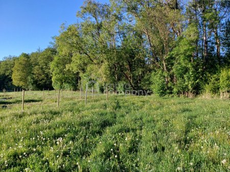 Ihr sonniges Gartengrundstücke am Ortsrand von Willendorf