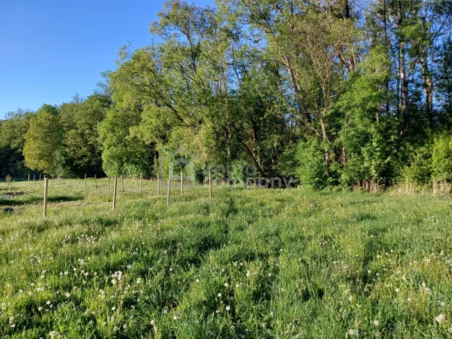 Ihr sonniges Gartengrundstücke am Ortsrand von Willendorf - Bild