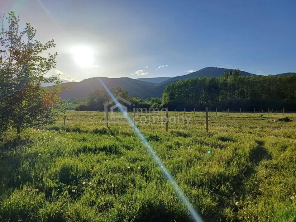 Ihr sonniges Gartengrundstücke am Ortsrand von Willendorf - Bild