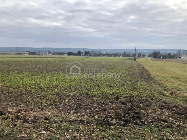 Schöner Baugrund unweit von Jennersdorf - Titelbild
