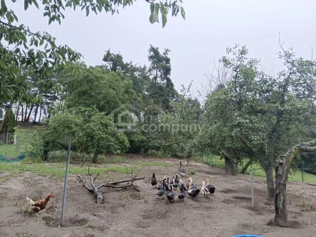 Das Landleben genießen - Bild