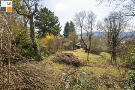 Südlage
