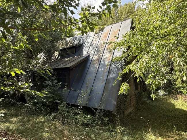 große UFERPAZRELLE mit privatem Badesteg am Neufelder See – Holzhaus mit Renovierungsbedarf beim Yachtclub auf Pachtgrund zu verkaufen - Bild