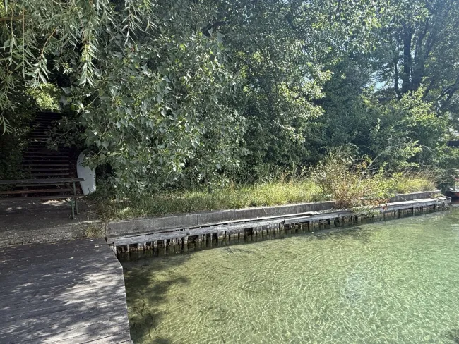 große UFERPAZRELLE mit privatem Badesteg am Neufelder See – Holzhaus mit Renovierungsbedarf beim Yachtclub auf Pachtgrund zu verkaufen - Titelbild