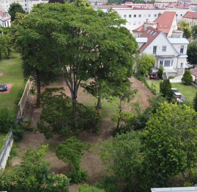 attraktives Grundstück mit Altbaumbestand in Bestlage von Eisenstadt - Bild