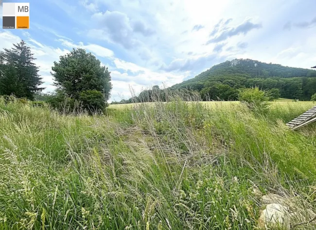 linker Grund