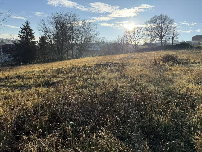 sonniger Baugrund mit Fernsicht zu verkaufen - Bild