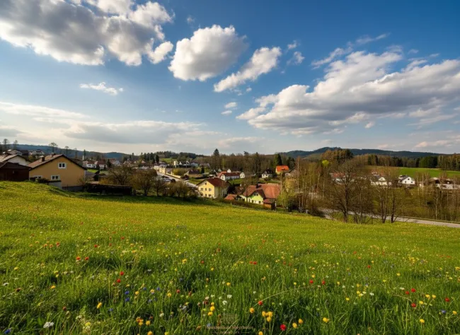 Weitläufiges Grundstück in Bad Großpertholz – Traumlage inmitten der Natur mit Fernblick - Titelbild