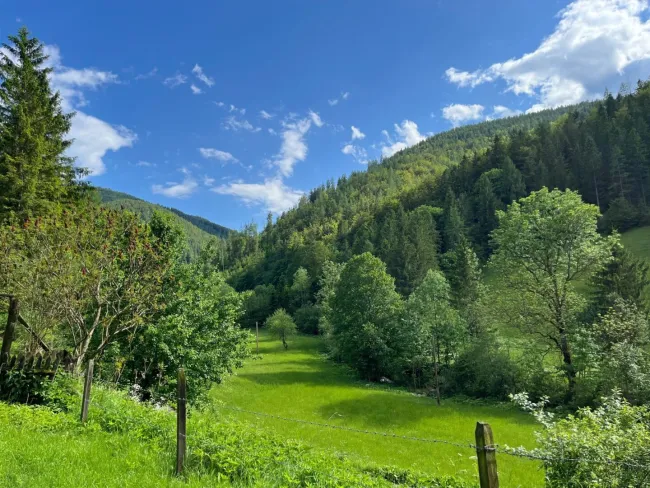 Paradies in Nähe zu Graz - Wunderbarer Besitz in Großstübing - Titelbild