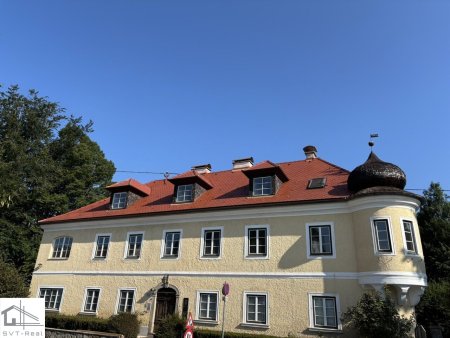 3-Zimmer Gartenwohnung in historischer Jahrhundertvilla, auch als Büro geeignet