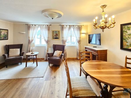 Altstadt-Zauber modern interpretiert: stilvoll-modern möbliertes 2-Zimmer-Apartment