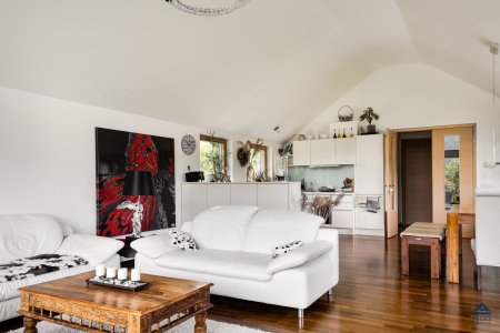 Wohnzimmer mit Kochbereich