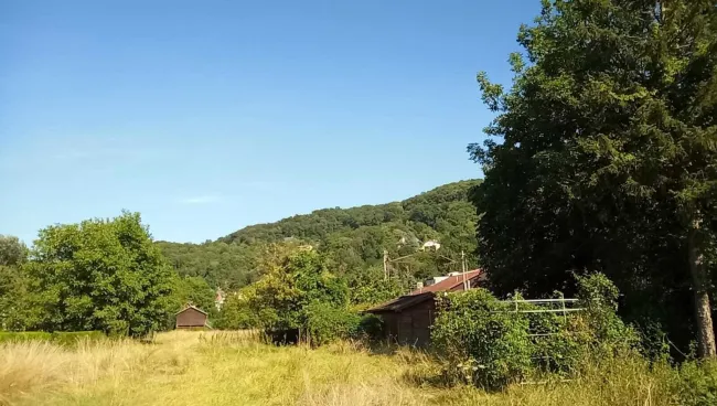 Baugrundstück nahe Wien/Klosterneuburg als Anlage(kein Bauzwang) oder zum bauen! - Bild