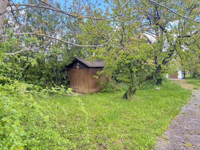 Garten