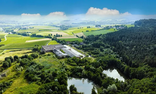 Flexibles Gewerbe-Areal im Innviertel (Eberschwang) - Titelbild