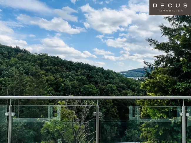 DECUS - Immobilien