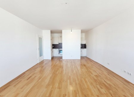 Wohnzimmer / Kochnische