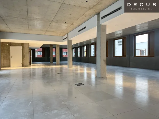 | INDUSTRIE STYLE | FABRIK 1230 | Büro-/Ordinations-/Geschäftsflächen - Bild