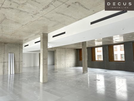 | INDUSTRIE STYLE | FABRIK 1230 | Büro-/Ordinations-/Geschäftsflächen