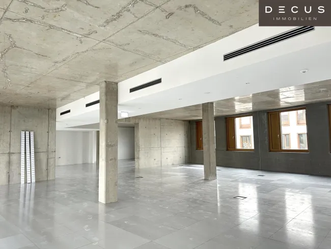 | INDUSTRIE STYLE | FABRIK 1230 | Büro-/Ordinations-/Geschäftsflächen - Bild