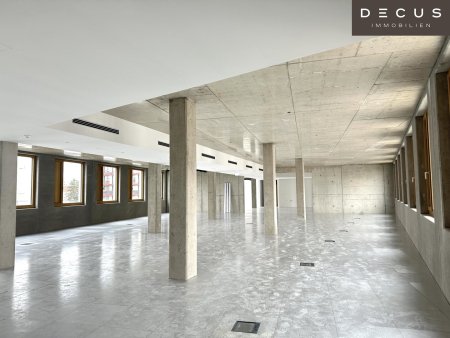 | INDUSTRIE STYLE | FABRIK 1230 | Büro-/Ordinations-/Geschäftsflächen