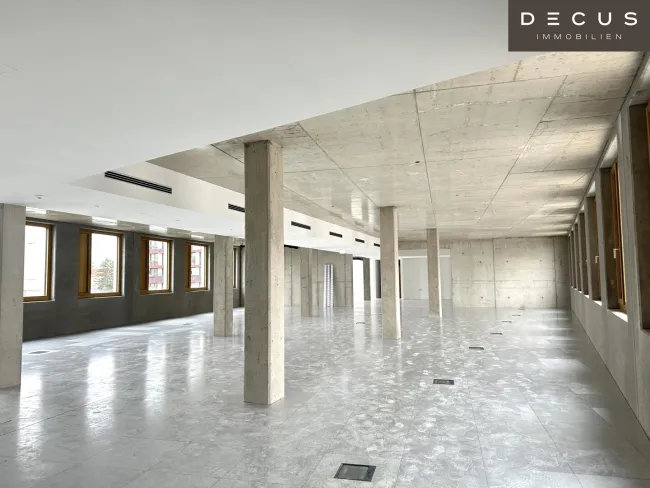 | INDUSTRIE STYLE | FABRIK 1230 | Büro-/Ordinations-/Geschäftsflächen - Bild