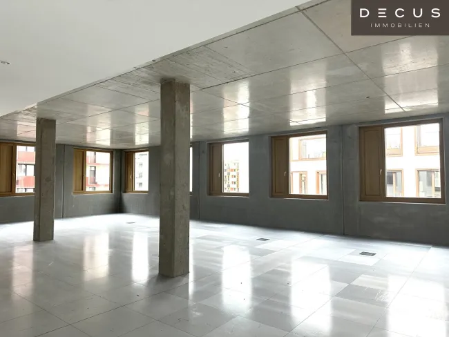 | INDUSTRIE STYLE | FABRIK 1230 | Büro-/Ordinations-/Geschäftsflächen - Bild