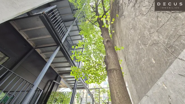 | UNBEFRISTET VERMIETETER ALTBAU | SANIERTES HAUS | STILFASSADE - Bild