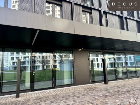 | DC FLATS | Erstbezug | Geschäftsfläche