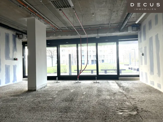 | DC FLATS | Erstbezug | Geschäftsfläche - Bild