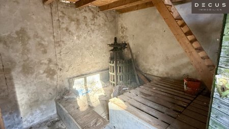 Sanierungsbedürftiger Weinkeller Entwicklungspotenzial Bockfließ