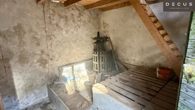 Sanierungsbedürftiger Weinkeller Entwicklungspotenzial Bockfließ - Bild