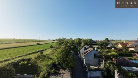 Sanierungsbedürftiger Weinkeller Entwicklungspotenzial Bockfließ