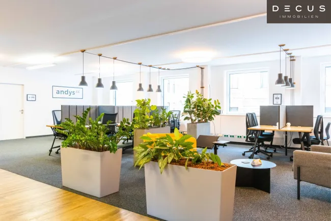 | Büroflächen und Co-working | NÄHE MARIAHILFERSTRASSE - Bild