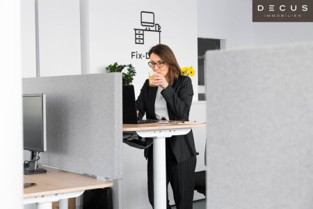 | Büroflächen und Co-working in Business-Center | ALTERLAA