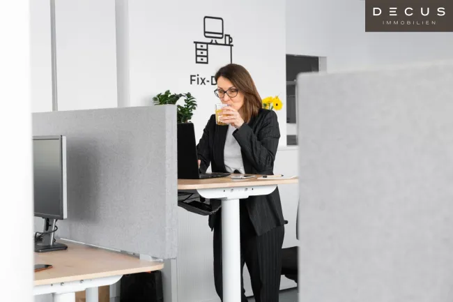 | Büroflächen und Co-working in Business-Center | ALTERLAA - Bild