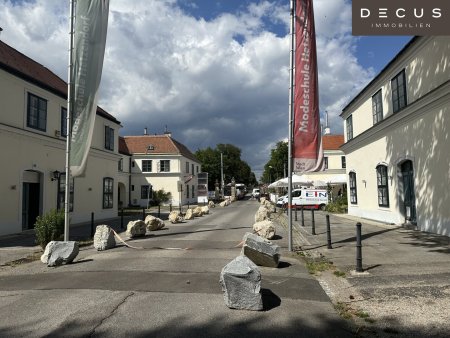 | Erdgeschossfläche unsaniert | SCHLOSS HETZENDORF