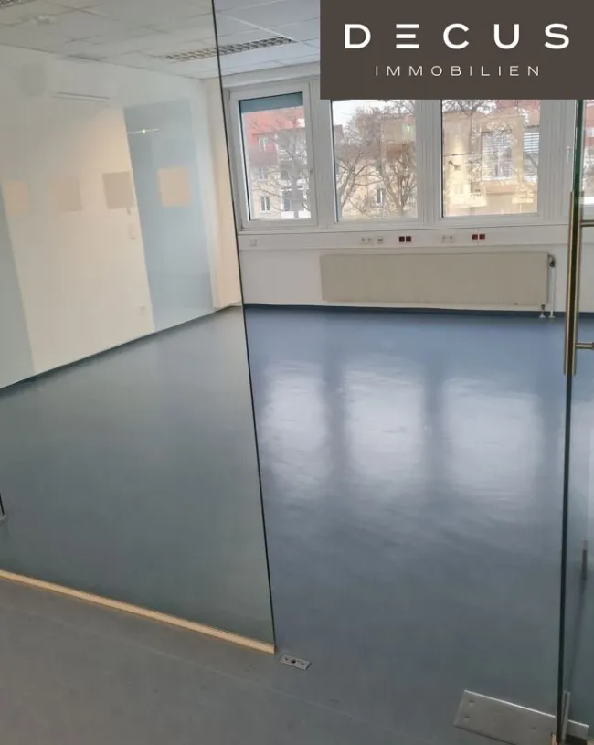 | FUNKTIONALES BÜROHAUS | INZERSDORF - Bild